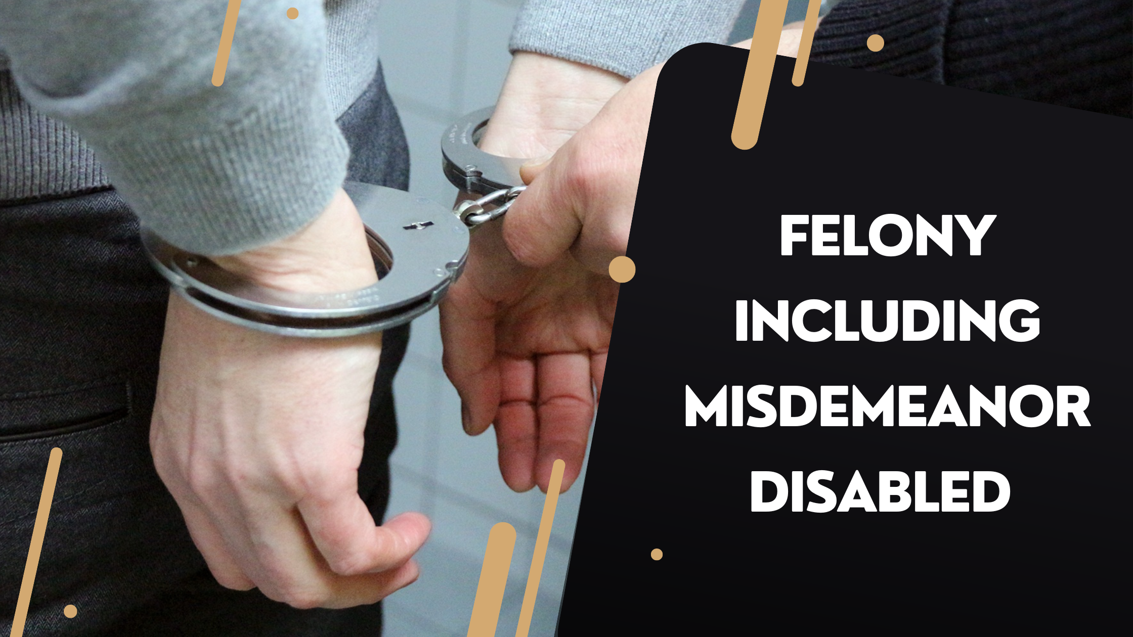 what does felony including misdemeanor disabled mean on background check